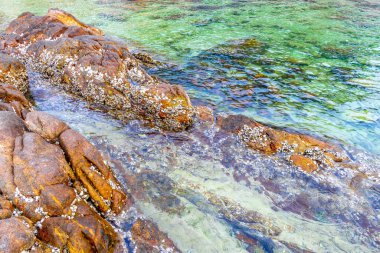 Rocky Kalim Sahili tropikal sahil kıyısı turkuvaz mavisi berrak su dalgaları kum kayaları kaya ve midye kabuklu kayalar Patong Sahili Kathu Phuket Adası Güney Tayland.