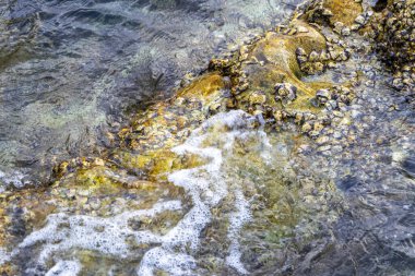 Rocky Kalim Sahili tropikal sahil kıyısı turkuvaz mavisi berrak su dalgaları kum kayaları kaya ve midye kabuklu kayalar Patong Sahili Kathu Phuket Adası Güney Tayland.