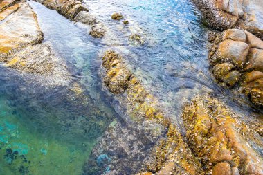 Rocky Kalim Sahili tropikal sahil kıyısı turkuvaz mavisi berrak su dalgaları kum kayaları kaya ve midye kabuklu kayalar Patong Sahili Kathu Phuket Adası Güney Tayland.