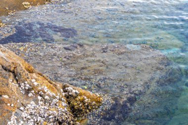 Rocky Kalim Sahili tropikal sahil kıyısı turkuvaz mavisi berrak su dalgaları kum kayaları kaya ve midye kabuklu kayalar Patong Sahili Kathu Phuket Adası Güney Tayland.