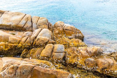 Rocky Kalim Sahili tropikal sahil kıyısı turkuvaz mavisi berrak su dalgaları kum kayaları kaya ve midye kabuklu kayalar Patong Sahili Kathu Phuket Adası Güney Tayland.