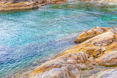 Rocky Kalim Sahili tropikal sahil kıyısı turkuvaz mavisi berrak su dalgaları kum kayaları kaya ve midye kabuklu kayalar Patong Sahili Kathu Phuket Adası Güney Tayland.