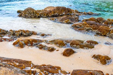 Rocky Kalim Sahili tropikal sahil kıyısı turkuvaz mavisi berrak su dalgaları kum kayaları kaya ve midye kabuklu kayalar Patong Sahili Kathu Phuket Adası Güney Tayland.