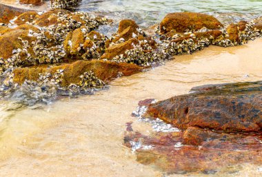 Rocky Kalim Sahili tropikal sahil kıyısı turkuvaz mavisi berrak su dalgaları kum kayaları kaya ve midye kabuklu kayalar Patong Sahili Kathu Phuket Adası Güney Tayland.