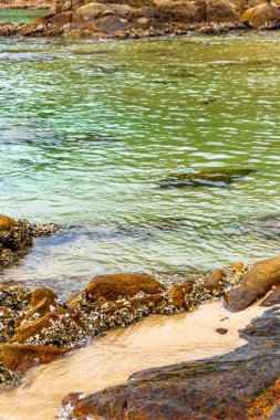 Rocky Kalim Sahili tropikal sahil kıyısı turkuvaz mavisi berrak su dalgaları kum kayaları kaya ve midye kabuklu kayalar Patong Sahili Kathu Phuket Adası Güney Tayland.