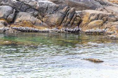 Rocky Kalim Sahili tropikal sahil kıyısı turkuvaz mavisi berrak su dalgaları kum kayaları ve kayalar Patong Sahili Kathu Bölgesi Phuket Adası Güney Tayland Bölgesi.