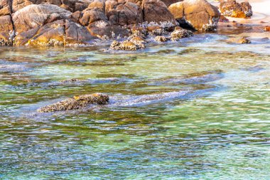Rocky Kalim Sahili tropikal sahil kıyısı turkuvaz mavisi berrak su dalgaları kum kayaları ve kayalar Patong Sahili Kathu Bölgesi Phuket Adası Güney Tayland Bölgesi.