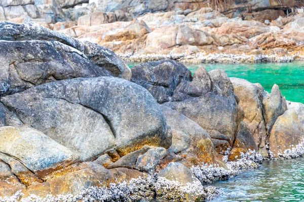Rocky Kalim Sahili tropikal sahil kıyısı turkuvaz mavisi berrak su dalgaları kum kayaları kaya ve midye kabuklu kayalar Patong Sahili Kathu Phuket Adası Güney Tayland.