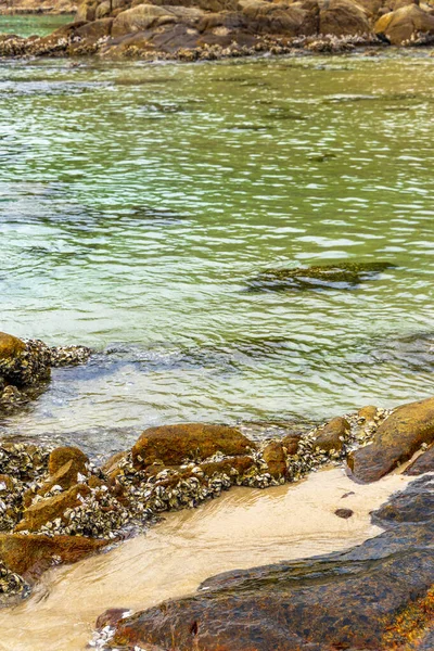 Rocky Kalim Sahili tropikal sahil kıyısı turkuvaz mavisi berrak su dalgaları kum kayaları kaya ve midye kabuklu kayalar Patong Sahili Kathu Phuket Adası Güney Tayland.