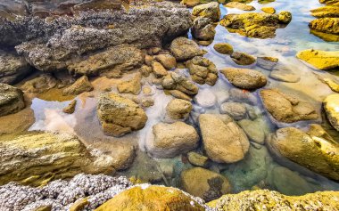 Rocky Kalim Sahili tropikal sahil kıyısı turkuvaz mavisi berrak su dalgaları kum kayaları kaya ve midye kabuklu kayalar Patong Sahili Kathu Phuket Adası Güney Tayland.
