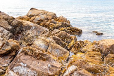 Rocky Kalim Sahili tropikal sahil kıyısı turkuvaz mavisi berrak su dalgaları kum kayaları kaya ve midye kabuklu kayalar Patong Sahili Kathu Phuket Adası Güney Tayland.