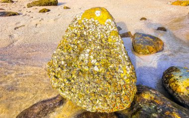 Rocky Kalim Sahili tropikal sahil kıyısı turkuvaz mavisi berrak su dalgaları kum kayaları kaya ve midye kabuklu kayalar Patong Sahili Kathu Phuket Adası Güney Tayland.