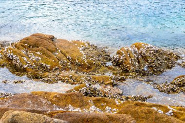Rocky Kalim Sahili tropikal sahil kıyısı turkuvaz mavisi berrak su dalgaları kum kayaları kaya ve midye kabuklu kayalar Patong Sahili Kathu Phuket Adası Güney Tayland.
