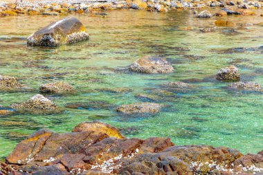 Rocky Kalim Sahili tropikal sahil kıyısı turkuvaz mavisi berrak su dalgaları kum kayaları kaya ve midye kabuklu kayalar Patong Sahili Kathu Phuket Adası Güney Tayland.
