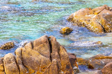 Rocky Kalim Sahili tropikal sahil kıyısı turkuvaz mavisi berrak su dalgaları kum kayaları kaya ve midye kabuklu kayalar Patong Sahili Kathu Phuket Adası Güney Tayland.