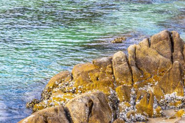 Rocky Kalim Sahili tropikal sahil kıyısı turkuvaz mavisi berrak su dalgaları kum kayaları kaya ve midye kabuklu kayalar Patong Sahili Kathu Phuket Adası Güney Tayland.