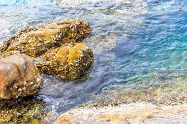 Rocky Kalim Sahili tropikal sahil kıyısı turkuvaz mavisi berrak su dalgaları kum kayaları kaya ve midye kabuklu kayalar Patong Sahili Kathu Phuket Adası Güney Tayland.