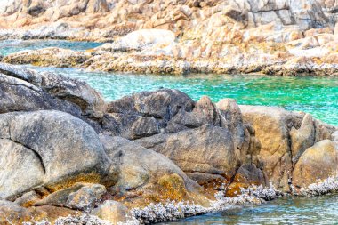 Rocky Kalim Sahili tropikal sahil kıyısı turkuvaz mavisi berrak su dalgaları kum kayaları kaya ve midye kabuklu kayalar Patong Sahili Kathu Phuket Adası Güney Tayland.