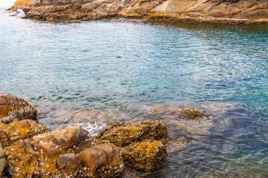 Rocky Kalim Sahili tropikal sahil kıyısı turkuvaz mavisi berrak su dalgaları kum kayaları kaya ve midye kabuklu kayalar Patong Sahili Kathu Phuket Adası Güney Tayland.