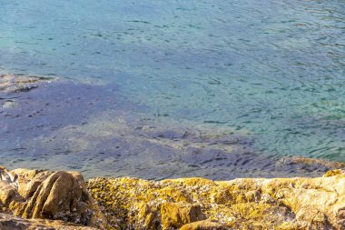 Rocky Kalim Sahili tropikal sahil kıyısı turkuvaz mavisi berrak su dalgaları kum kayaları kaya ve midye kabuklu kayalar Patong Sahili Kathu Phuket Adası Güney Tayland.