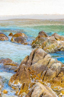 Rocky Kalim Sahili tropikal sahil kıyısı turkuvaz mavisi berrak su dalgaları kum kayaları kaya ve midye kabuklu kayalar Patong Sahili Kathu Phuket Adası Güney Tayland.