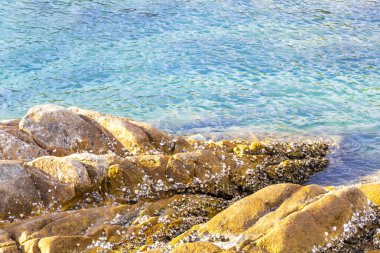 Rocky Kalim Sahili tropikal sahil kıyısı turkuvaz mavisi berrak su dalgaları kum kayaları kaya ve midye kabuklu kayalar Patong Sahili Kathu Phuket Adası Güney Tayland.