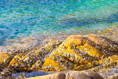 Rocky Kalim Sahili tropikal sahil kıyısı turkuvaz mavisi berrak su dalgaları kum kayaları kaya ve midye kabuklu kayalar Patong Sahili Kathu Phuket Adası Güney Tayland.