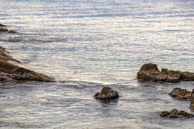 Rocky Kalim Sahili tropikal sahil kıyısı turkuvaz mavisi berrak su dalgaları kum kayaları kaya ve midye kabuklu kayalar Patong Sahili Kathu Phuket Adası Güney Tayland.