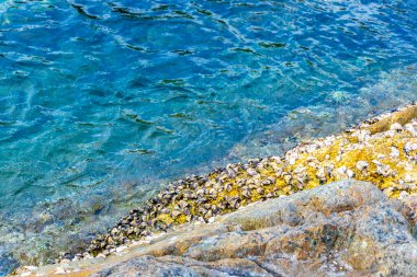 Rocky Kalim Sahili tropikal sahil kıyısı turkuvaz mavisi berrak su dalgaları kum kayaları kaya ve midye kabuklu kayalar Patong Sahili Kathu Phuket Adası Güney Tayland.