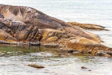 Rocky Kalim Sahili tropikal sahil kıyısı turkuvaz mavisi berrak su dalgaları kum kayaları kaya ve midye kabuklu kayalar Patong Sahili Kathu Phuket Adası Güney Tayland.