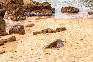 Rocky Kalim Sahili tropikal sahil kıyısı turkuvaz mavisi berrak su dalgaları kum kayaları kaya ve midye kabuklu kayalar Patong Sahili Kathu Phuket Adası Güney Tayland.