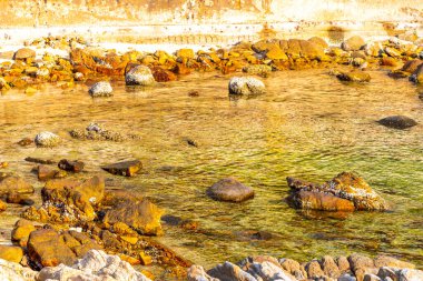 Rocky Kalim Sahili tropikal sahil kıyısı turkuvaz mavisi berrak su dalgaları kum kayaları kaya ve midye kabuklu kayalar Patong Sahili Kathu Phuket Adası Güney Tayland.