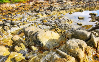Rocky Kalim Sahili tropikal sahil kıyısı turkuvaz mavisi berrak su dalgaları kum kayaları ve kayalar Patong Sahili Kathu Bölgesi Phuket Adası Güney Tayland Bölgesi.