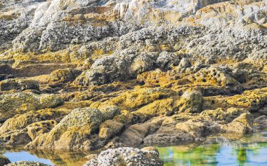 Rocky Kalim Sahili tropikal sahil kıyısı turkuvaz mavisi berrak su dalgaları kum kayaları ve kayalar Patong Sahili Kathu Bölgesi Phuket Adası Güney Tayland Bölgesi.