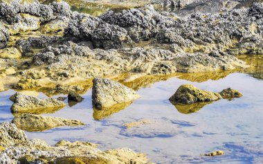 Rocky Kalim Sahili tropikal sahil kıyısı turkuvaz mavisi berrak su dalgaları kum kayaları ve kayalar Patong Sahili Kathu Bölgesi Phuket Adası Güney Tayland Bölgesi.