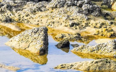 Rocky Kalim Sahili tropikal sahil kıyısı turkuvaz mavisi berrak su dalgaları kum kayaları ve kayalar Patong Sahili Kathu Bölgesi Phuket Adası Güney Tayland Bölgesi.