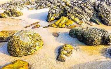 Rocky Kalim Sahili tropikal sahil kıyısı turkuvaz mavisi berrak su dalgaları kum kayaları ve kayalar Patong Sahili Kathu Bölgesi Phuket Adası Güney Tayland Bölgesi.