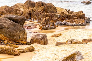 Rocky Kalim Sahili tropikal sahil kıyısı turkuvaz mavisi berrak su dalgaları kum kayaları ve kayalar Patong Sahili Kathu Bölgesi Phuket Adası Güney Tayland Bölgesi.