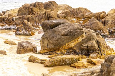 Rocky Kalim Sahili tropikal sahil kıyısı turkuvaz mavisi berrak su dalgaları kum kayaları ve kayalar Patong Sahili Kathu Bölgesi Phuket Adası Güney Tayland Bölgesi.