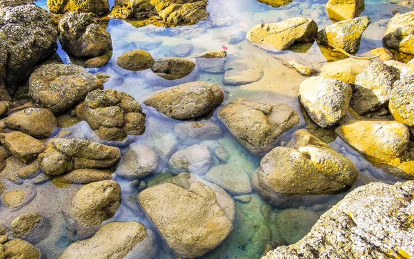 Rocky Kalim Sahili tropikal sahil kıyısı turkuvaz mavisi berrak su dalgaları kum kayaları kaya ve midye kabuklu kayalar Patong Sahili Kathu Phuket Adası Güney Tayland.
