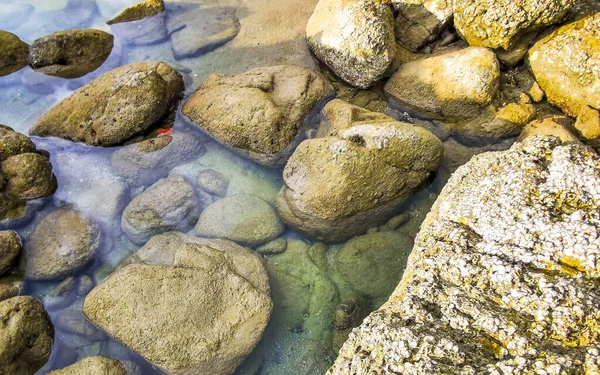 Rocky Kalim Sahili tropikal sahil kıyısı turkuvaz mavisi berrak su dalgaları kum kayaları kaya ve midye kabuklu kayalar Patong Sahili Kathu Phuket Adası Güney Tayland.