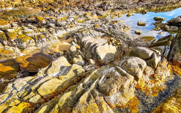 Rocky Kalim Sahili tropikal sahil kıyısı turkuvaz mavisi berrak su dalgaları kum kayaları kaya ve midye kabuklu kayalar Patong Sahili Kathu Phuket Adası Güney Tayland.