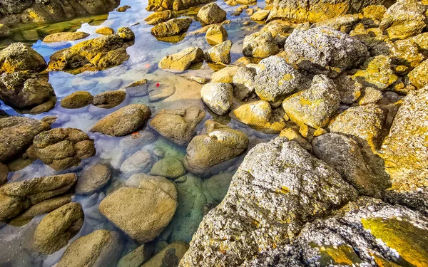 Rocky Kalim Sahili tropikal sahil kıyısı turkuvaz mavisi berrak su dalgaları kum kayaları kaya ve midye kabuklu kayalar Patong Sahili Kathu Phuket Adası Güney Tayland.