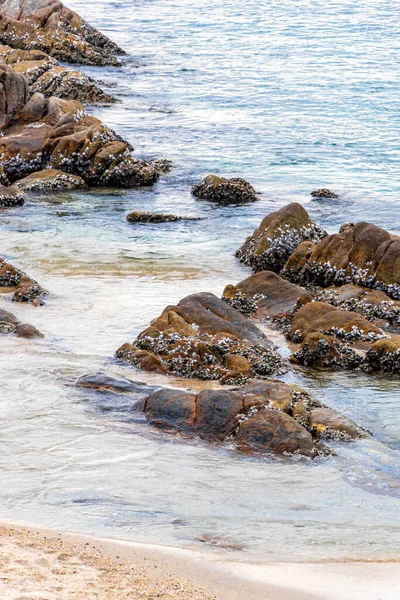 Rocky Kalim Sahili tropikal sahil kıyısı turkuvaz mavisi berrak su dalgaları kum kayaları kaya ve midye kabuklu kayalar Patong Sahili Kathu Phuket Adası Güney Tayland.