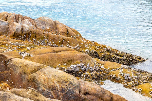 Rocky Kalim Sahili tropikal sahil kıyısı turkuvaz mavisi berrak su dalgaları kum kayaları kaya ve midye kabuklu kayalar Patong Sahili Kathu Phuket Adası Güney Tayland.