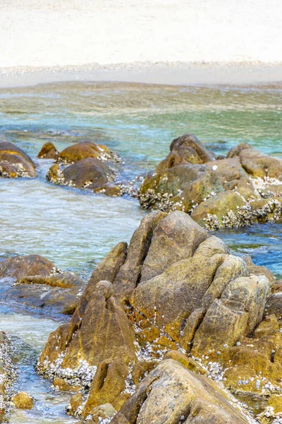 Rocky Kalim Sahili tropikal sahil kıyısı turkuvaz mavisi berrak su dalgaları kum kayaları kaya ve midye kabuklu kayalar Patong Sahili Kathu Phuket Adası Güney Tayland.