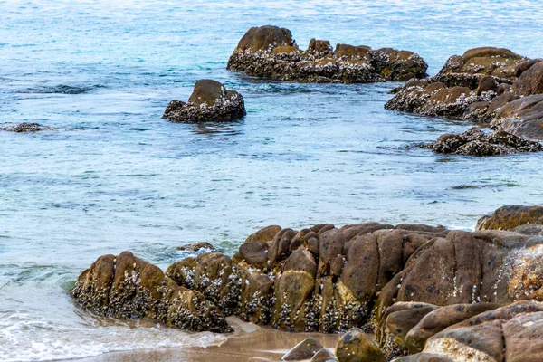 Rocky Kalim Sahili tropikal sahil kıyısı turkuvaz mavisi berrak su dalgaları kum kayaları kaya ve midye kabuklu kayalar Patong Sahili Kathu Phuket Adası Güney Tayland.