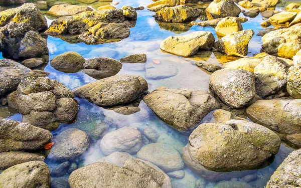 Rocky Kalim Sahili tropikal sahil kıyısı turkuvaz mavisi berrak su dalgaları kum kayaları kaya ve midye kabuklu kayalar Patong Sahili Kathu Phuket Adası Güney Tayland.