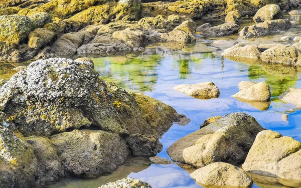 Rocky Kalim Sahili tropikal sahil kıyısı turkuvaz mavisi berrak su dalgaları kum kayaları ve kayalar Patong Sahili Kathu Bölgesi Phuket Adası Güney Tayland Bölgesi.
