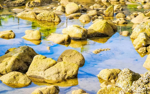 Rocky Kalim Sahili tropikal sahil kıyısı turkuvaz mavisi berrak su dalgaları kum kayaları ve kayalar Patong Sahili Kathu Bölgesi Phuket Adası Güney Tayland Bölgesi.